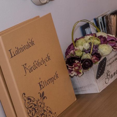 Belvárosi Vintage Apartman a sétálóutcán Miskolc Esterno foto